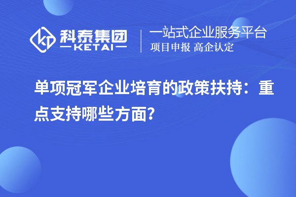 单项冠军企业培育的政策扶持:重点支持哪些方面?