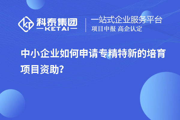 中小企业如何申请专精特新的培育项目资助?