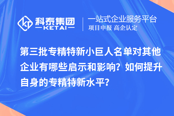 第三批专精特新小巨人名单对其他企业有哪些启示和影响?如何提升自身的专精特新水平?