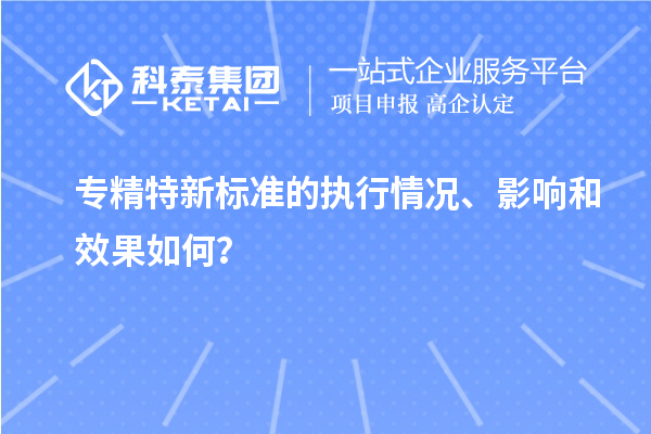 专精特新标准的执行情况、影响和效果如何?