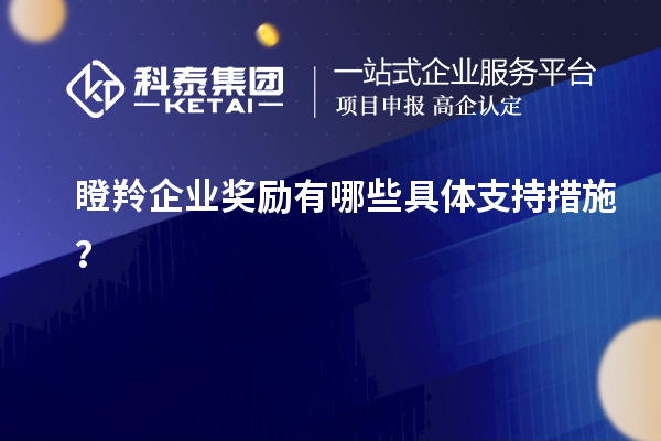 瞪羚企业奖励有哪些具体支持措施?