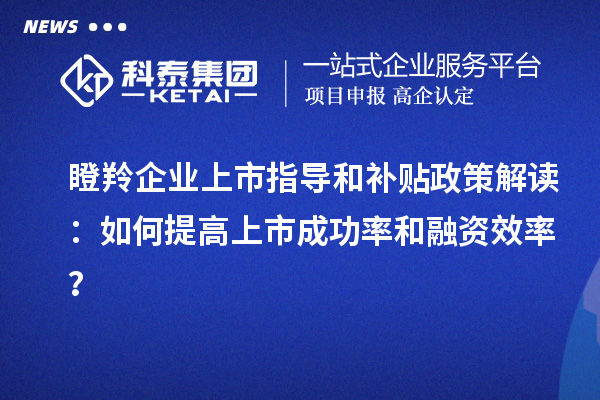 瞪羚企业上市指导和补贴政策解读:如何提高上市成功率和融资效率?