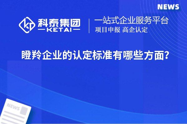 瞪羚企业的认定标准有哪些方面?