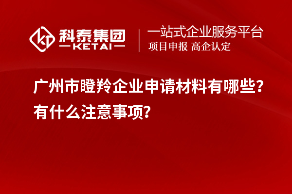 广州市瞪羚企业申请材料有哪些?有什么注意事项?