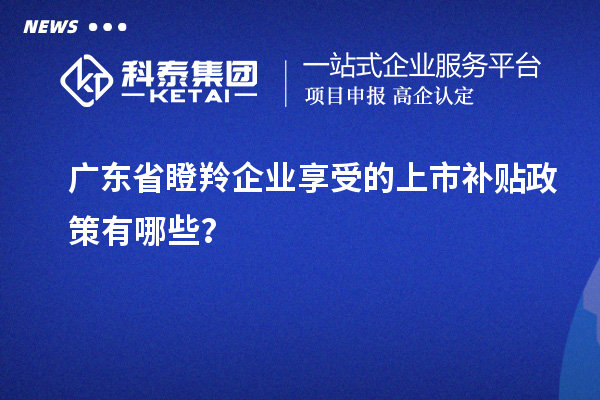 广东省瞪羚企业享受的上市补贴政策有哪些?