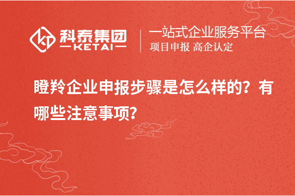 瞪羚企业申报步骤是怎么样的?有哪些注意事项?