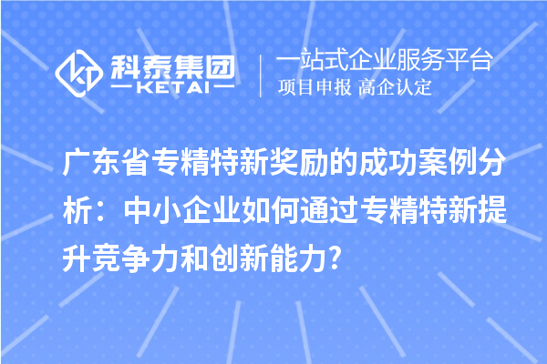 广东省专精特新奖励的成功案例分析:中小企业如何通过专精特新提升竞争力和创新能力?