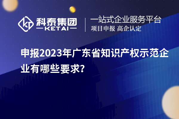 申报2023年广东省知识产权示范企业有哪些要求?