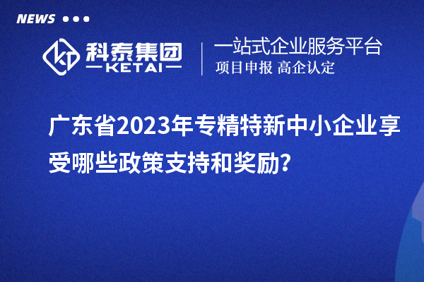 广东省2023年专精特新中小企业享受哪些政策支持和奖励?