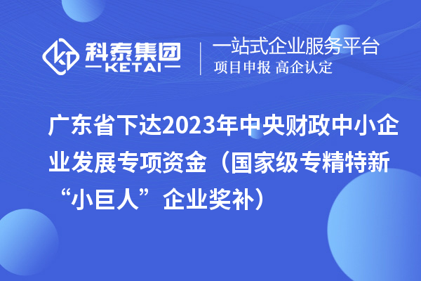 广东省下达2023年中央财政中小企业发展专项资金(国家级专精特新“小巨人”企业奖补)