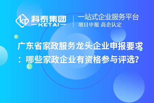 广东省家政服务龙头企业申报要求:哪些家政企业有资格参与评选?