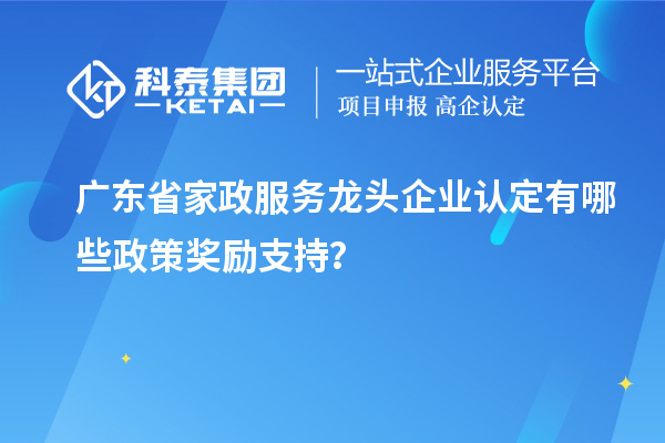 广东省家政服务龙头企业认定有哪些政策奖励支持?