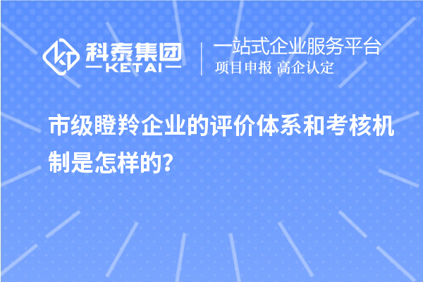 市级瞪羚企业的评价体系和考核机制是怎样的?