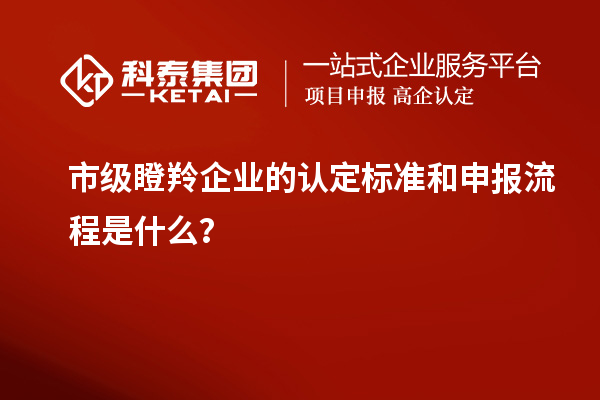 市级瞪羚企业的认定标准和申报流程是什么?
