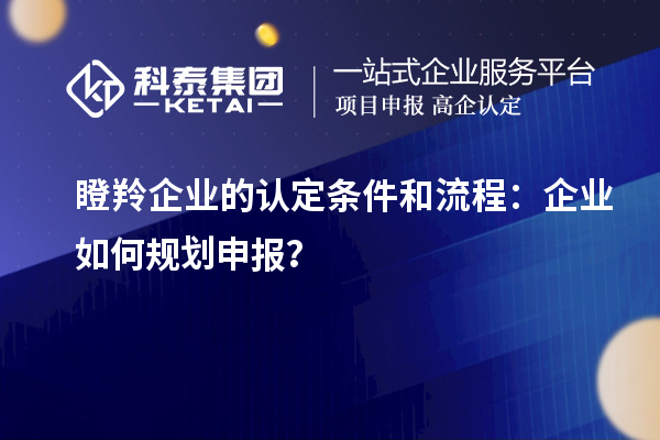 瞪羚企业的认定条件和流程:企业如何规划申报?