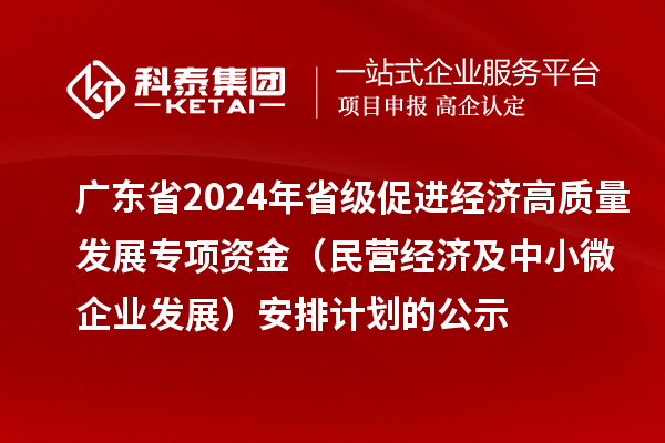 广东省2024年省级促进经济高质量发展专项资金(民营经济及中小微企业发展)安排计划的公示