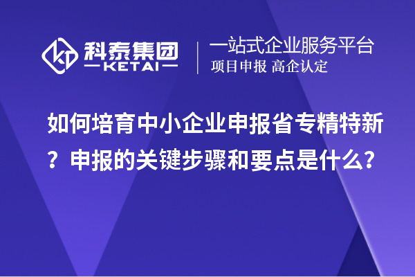 如何培育中小企业申报省专精特新?申报的关键步骤和要点是什么?