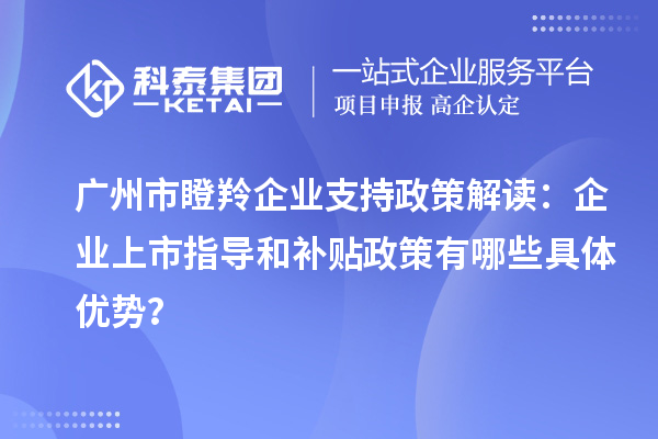 广州市瞪羚企业支持政策解读:企业上市指导和补贴政策有哪些具体优势?