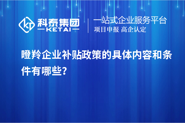 瞪羚企业补贴政策的具体内容和条件有哪些?