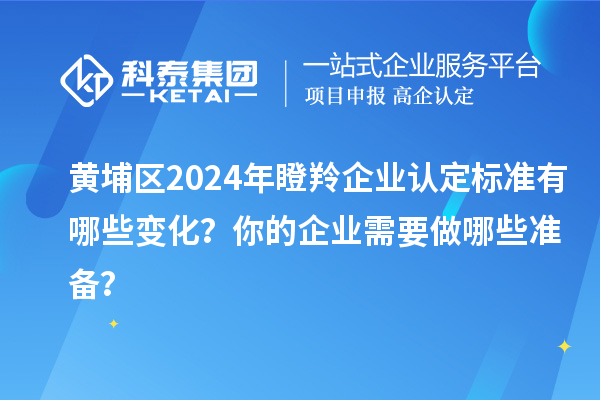 黄埔区2024年瞪羚企业认定标准有哪些变化?你的企业需要做哪些准备?
