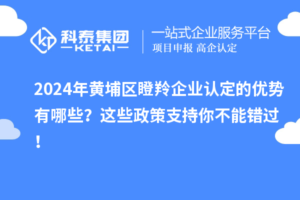 2024年黄埔区瞪羚企业认定的优势有哪些?这些政策支持你不能错过!