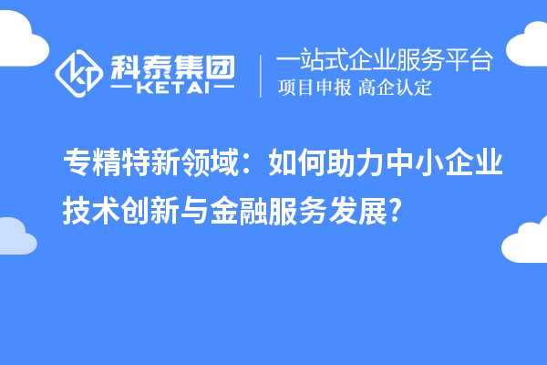 专精特新领域:如何助力中小企业技术创新与金融服务发展?