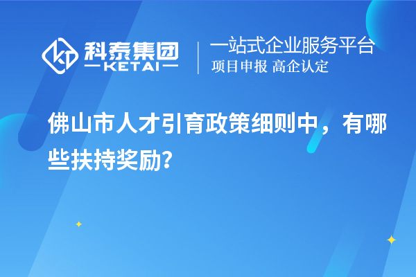 佛山市人才引育政策细则中,有哪些扶持奖励?