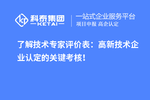 了解技术专家评价表:高新技术企业认定的关键考核!