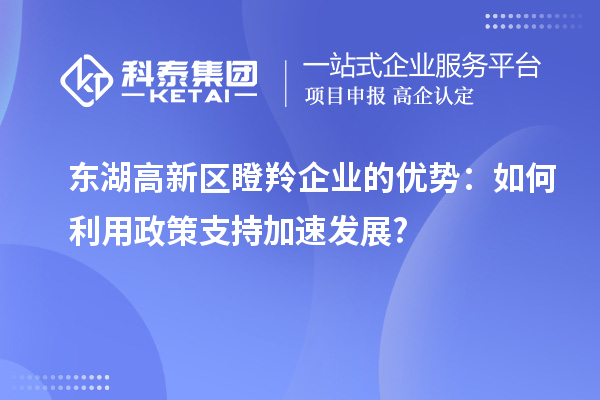 东湖高新区瞪羚企业的优势:如何利用政策支持加速发展?