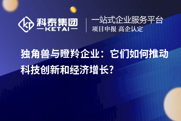 独角兽与瞪羚企业:它们如何推动科技创新和经济增长?