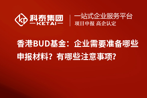 香港BUD基金:企业需要准备哪些申报材料?有哪些注意事项?