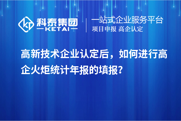 高新技术企业认定后,如何进行高企火炬统计年报的填报?
