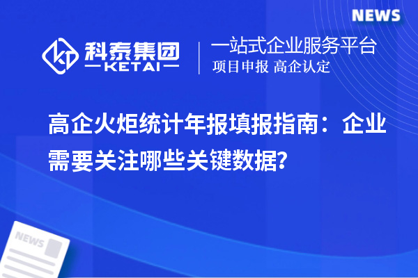 高企火炬统计年报填报指南:企业需要关注哪些关键数据?
