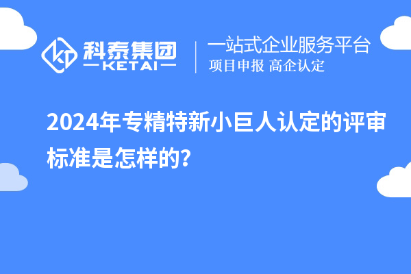 2024年专精特新小巨人认定的评审标准是怎样的?