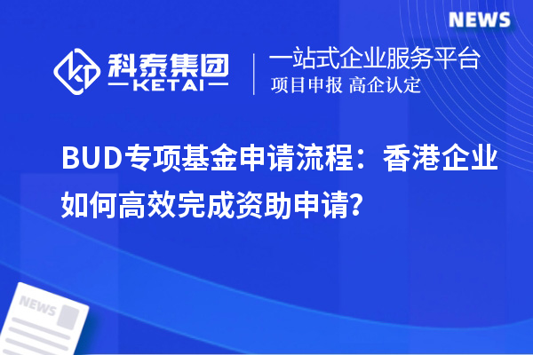 BUD专项基金申请流程:香港企业如何高效完成资助申请?