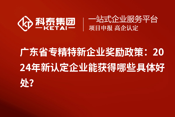 广东省专精特新企业奖励政策:2024年新认定企业能获得哪些具体好处?