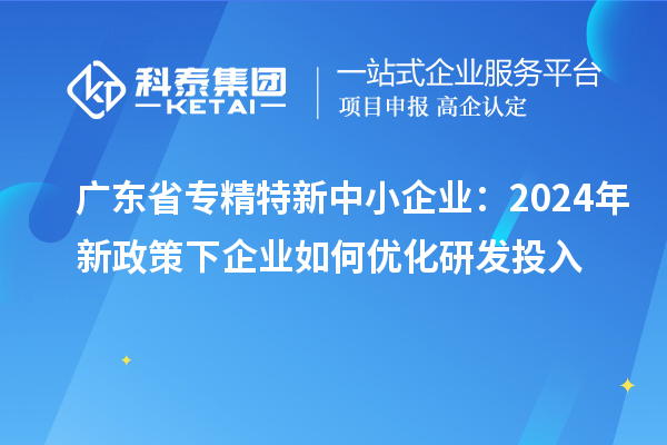 广东省专精特新中小企业:2024年新政策下企业如何优化研发投入