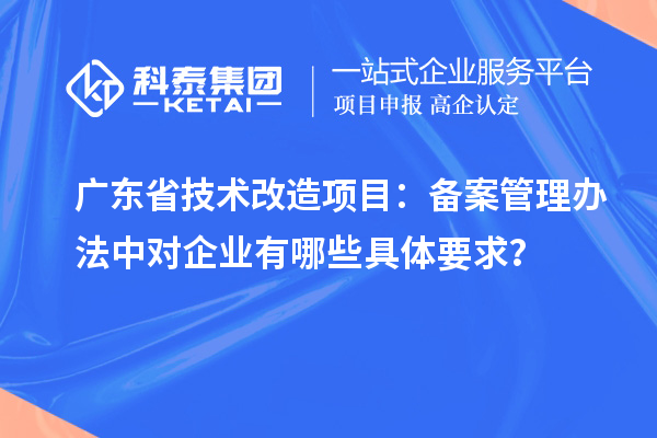 广东省技术改造项目:备案管理办法中对企业有哪些具体要求?