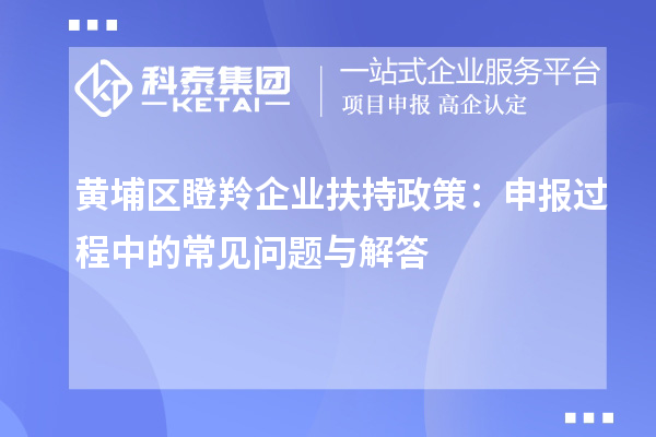 黄埔区瞪羚企业扶持政策:申报过程中的常见问题与解答