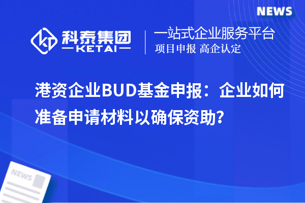 港资企业BUD基金申报:企业如何准备申请材料以确保资助?