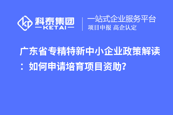 广东省专精特新中小企业政策解读:如何申请培育项目资助?