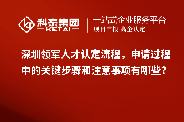 深圳领军人才认定流程,申请过程中的关键步骤和注意事项有哪些?