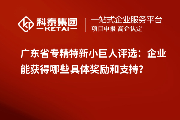 广东省专精特新小巨人评选:企业能获得哪些具体奖励和支持?