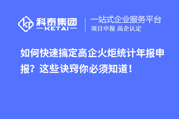 如何快速搞定高企火炬统计年报申报?这些诀窍你必须知道!