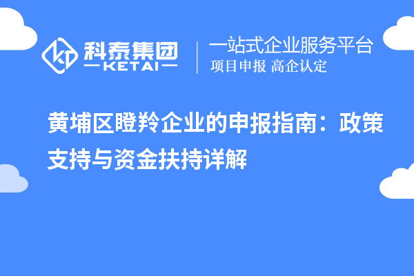 黄埔区瞪羚企业的申报指南:政策支持与资金扶持详解
