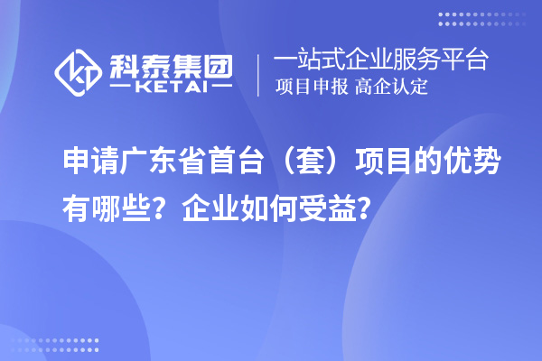 申请广东省首台(套)项目的优势有哪些?企业如何受益?