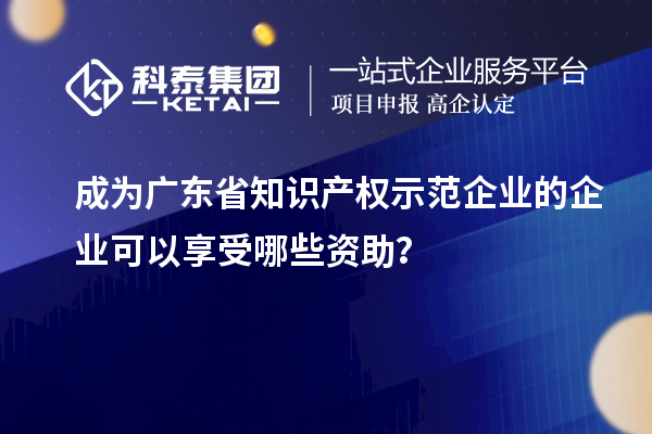 成为广东省知识产权示范企业的企业可以享受哪些资助?