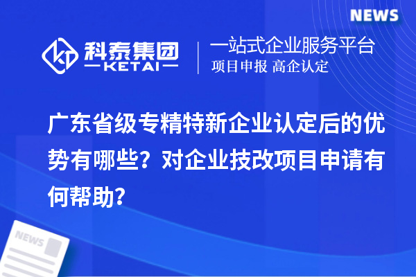 广东省级专精特新企业认定后的优势有哪些?对企业技改项目申请有何帮助?
