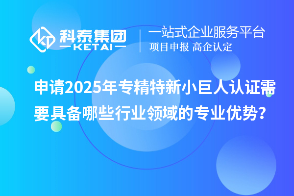 申请2025年专精特新小巨人认证需要具备哪些行业领域的专业优势?
