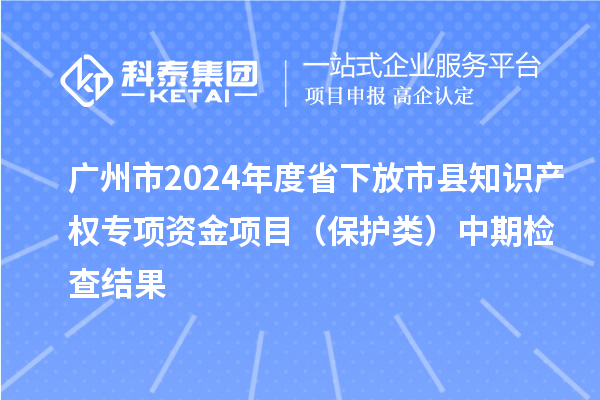 广州市2024年度省下放市县知识产权专项资金项目(保护类)中期检查结果